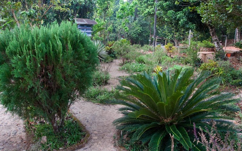 Simha Farms, Shimoga 3